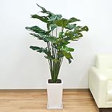 人工観葉植物 モンステラ スクエア陶器鉢 光触媒加工