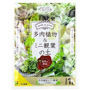 花ごころ 多肉植物&ミニ観葉の土 1L
