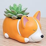 New Arrival Puppy Resin Planter for Succulents Cute Corgi Mini Flowerpot Desktop Pot Jardin Bonsai f