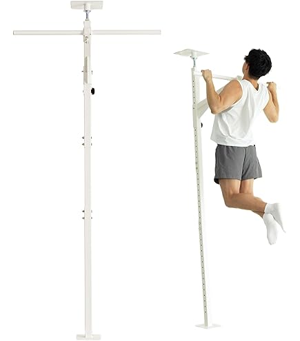 Amazon.co.jp: TEDDY WORKS KENSUI kaku Dedicated Dip Handle, Dip