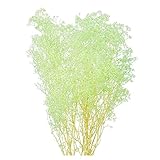 大地農園 プリザーブドフラワー ソフトミニカスミ草(22g入り) ミントグリーン DO00010-720