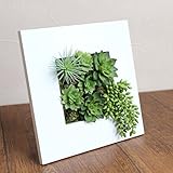A plus floral art インテリア グリーン ボタニカル フレーム ルメン 白 フェイクグリーン 多肉植物 観葉植物 造花 壁掛け ギフト