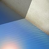 ECHOLOCATIONS: RIVER [LP] [12 inch Analog]