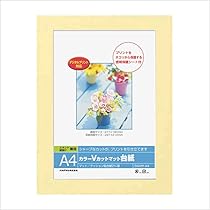 ナカバヤシ フォトフレーム 額 カラーVカットマット台紙 A3 ピンク DGVM-A3-P bme6fzu カラーVカットマット台紙 2L ピンク | 紙製フレーム | フォト