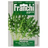野菜の種 ワイルドルッコラ 115/5