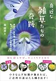 身近な雑草たちの奇跡 道ばた、空き地、花壇の隅……気づけばそこにいる植物の生態