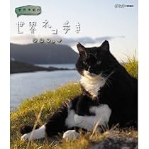 (未使用･未開封品)　岩合光昭の世界ネコ歩き ポルトガル　ブルーレイ v1yptgt 61mvqtxkCaL._UF350,350_QL80_.jpg