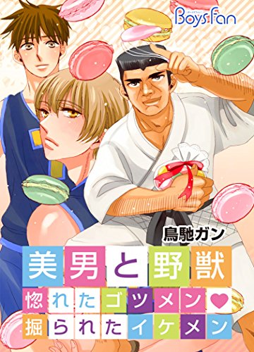 美男と野獣～惚れたゴ