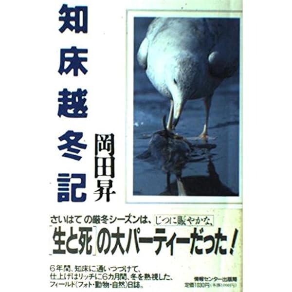 BEAR  火と水の国カムチャッカの生命　岡田昇　情報開発センター出版局 BEAR 火と水の国カムチャッカの生命 岡田昇 情報開発センター