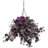 ほぼ自然6842 Morning Glory Hanging Basket