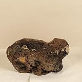 鉢：薩摩産 軽石Ｌ*16-21ｃｍ　さつま　かるいし　サツマ　カルイシ