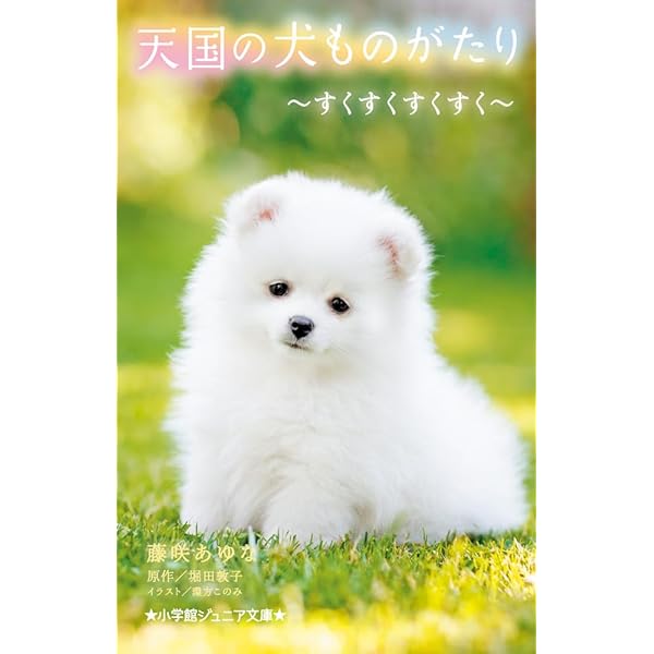 Amazon.co.jp: 天国の犬ものがたり~未来~ (小学館ジュニア文庫 ほ 1-3