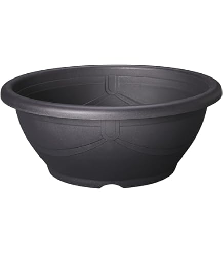 Amazon | SUDO(スドー) スターペット メダカ鉢 18号 黒茶 S-5576