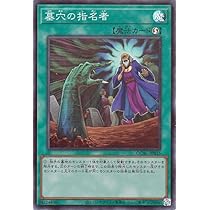 Amazon.co.jp: 遊戯王カード エフェクト・ヴェーラー(新規