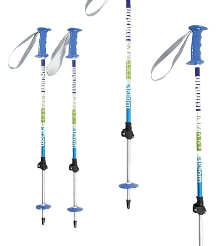 Amazon | HART(ハート) スキー ポール クエストAJSチーム 伸縮ポール