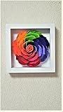 【プリザーブドフラワー】【花額】【レインボーフラワー】【造花】 1335-01