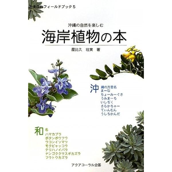 沖縄食の大百科　セット　1.2.3.4号　美品　沖縄野草 沖縄食の大百科 セット 1.2.3.4号 美品 沖縄野草｜本・雑誌・漫画