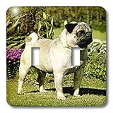 lsp _ 498 _ 2犬パグ – Fawn Pug – 照明スイッチカバー – ダブル切り替えスイッチ
