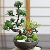 モダン松竹梅 5号 高20cm×幅20cm