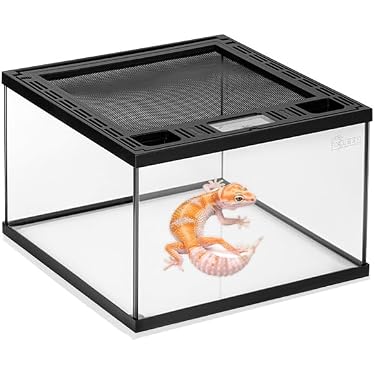 Amazon.co.jp 最新リリース: 爬虫類・両生類用飼育ケース・ケージ の