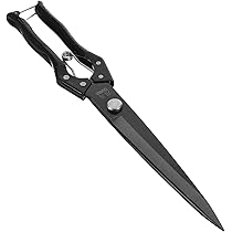 51svF5OTP8L._AC_UL210_SR210,