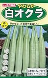 トーホク種苗 やわらか白オクラ 野菜