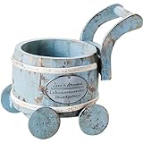 Paseo アミュザンプランター Blue WF-17BL