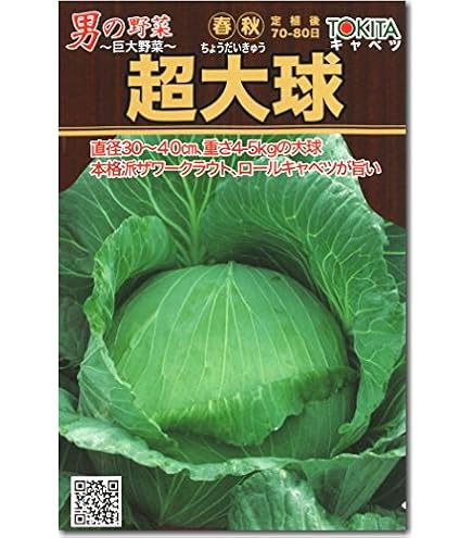 Amazon.co.jp: キャベツ 種 トキタの男の野菜シリーズ 超大球