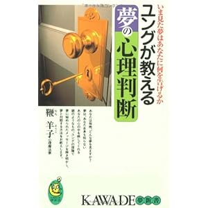 ユングが教える夢の心理判断―いま見た夢はあなたに何を告げるか (KAWADE夢新書)