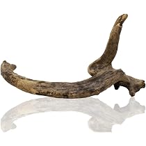 Amazon | 国産天然流木 80x40xH30cm 1.9kg 水槽レイアウト用品 
