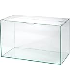 Amazon | GEX グラステリア 600ST お一人様1点限り 60cm