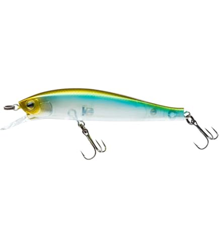 HARDCOREシャッドセット Amazon.com : Yo-Zuri R1382-CSH: Hardcore Shad Sr 60Sf 60Mm 2