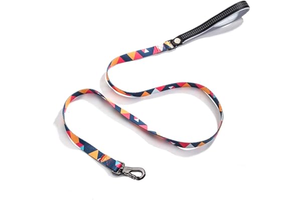 best dog leash amazon