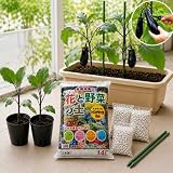 【家庭菜園スターターキット】きゅうり 苗2株＋プランター＋土＋鉢底石＋ネット付きセット (きゅうり)