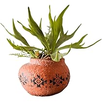 植木鉢✳︎テラコッタポット✳︎陶器✳︎観葉植物プランター多肉 Amazon.co.jp: WJFMZS プランター植物ポット-テラコッタ陶器