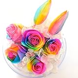 【楽天ランキング1位】【高級プリザーブドフラワー】レインボーチューリップ×レインボーローズドーム　プリザーブドフラワー　誕生日 母の日 結婚記念日　卒業入学祝い　プレゼント