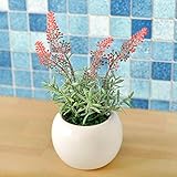 観葉植物 ミニ インテリア グリーン 造花 観葉植物 卓上観葉植物 かわいい ミニ 卓上ポット (レッド)