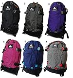 GREGORY グレゴリー オールデイ リュックサック バッグ 3 ウルトラバイオレット