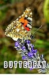 ิBUTTERFLY PHOTOGRAPHY (English Edition)