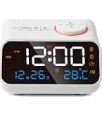 Amazon.co.jp: ソニー(SONY) クロックラジオ ICF-C1 : FM/AM/ワイドFM