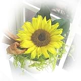 プリザーブドフラワーアレンジ　[ひまわりポット]　　【ヒマワリ】【向日葵】