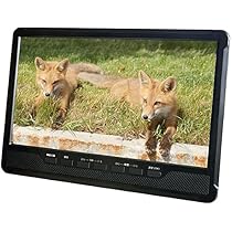 Amazon.co.jp: AK ART AKART. AK-TDV101R [10インチ 地デジ