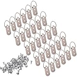 BCP 30pcs DリングHeavy Duty Hanging画像ハンガーフレームHanging with Screws Double Hole Type 2 TOOL