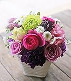 アレンジメントフラワー 生花 ギフト Mサイズ イメージ(シック)大臣賞受賞デザイナー おまかせアレンジメント