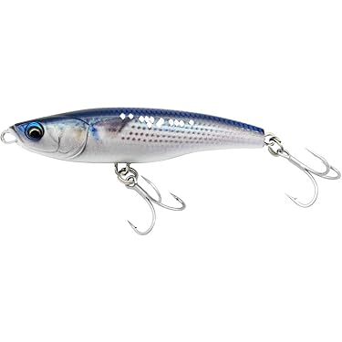 Amazon.co.jp 最新リリース: シーバス・ヒラメルアー の新着ランキング