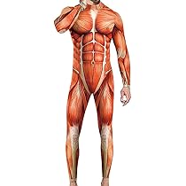 筋肉スーツ Amazon | Yavoluy 筋肉スーツ 筋肉 コスプレ 長袖 レディース