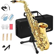 51t4-TBS2zL._AC_UL210_SR210,