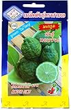 コブミカン Kaffir Lime タネ 種子 タイの野菜 5粒 CHUA YONG SENG コブミカン Kaffir Lime タネ 種子 タイの野菜 5粒 CHUA YONG SENG