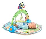 Little Tikes Baby - Good Vibrations Deluxe Activity Gym [並行輸入品]