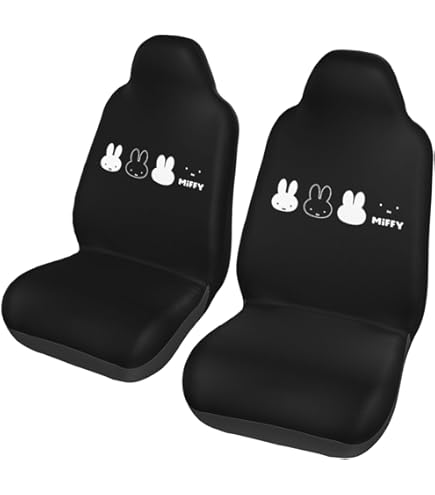 浜崎あゆみ 車 シートカバー 25th Amazon | 浜崎あゆみ (3) カーシートカバー 2枚セット 車のシート